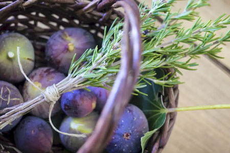 Fichi d'autunno a Passo a Sud